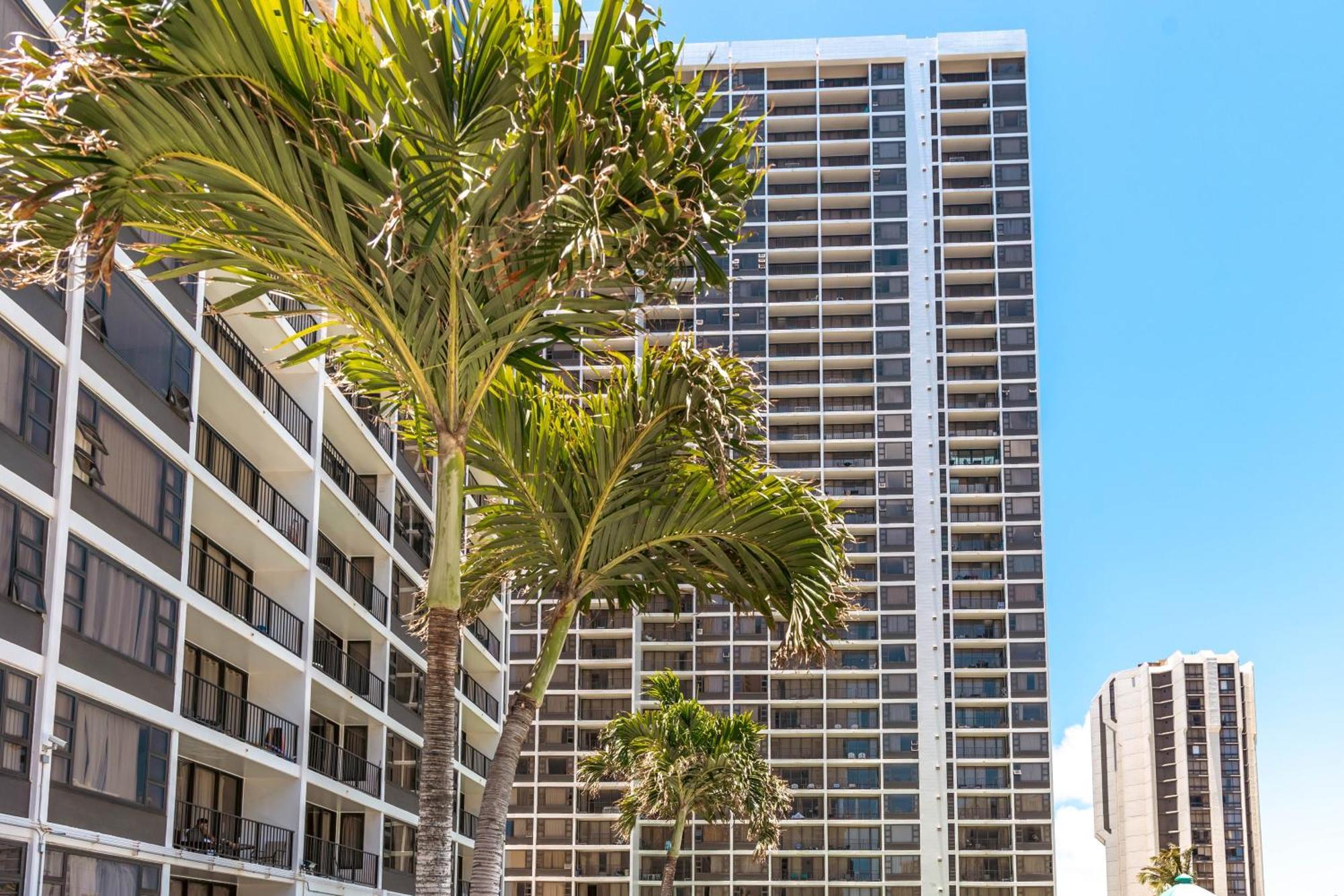 Renovated Ocean View Suite, Near Beach, Free Parking Χονολουλού Εξωτερικό φωτογραφία